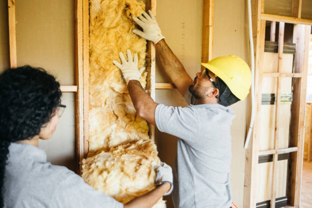 Best Insulation Installation Cost  in USA